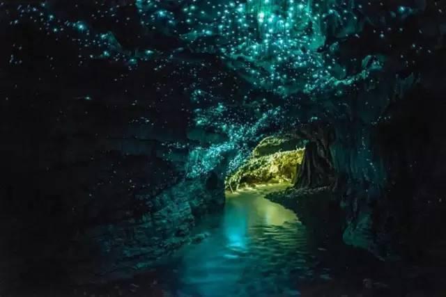 沪江开心词场